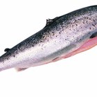 How to Cook Salmon Cheeks