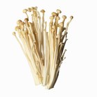 How to Grow Enokitake
