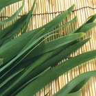 How to Grill Leeks