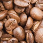 Protein in Coffee Beans