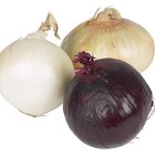 How to Bake an Onion in the Oven