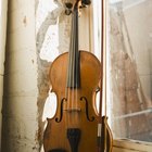 Diferentes estilos, formas y colores de violines