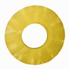 How to Dry Pineapple in a Dehydrator