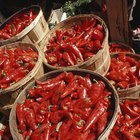 Health Benefits of Hot Peppers