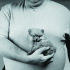 How to Shrink My Shirt From Medium to Small