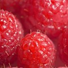 How to Make Raspberry Lemonade