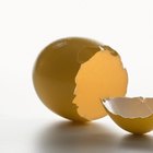 Cómo teñir las cáscaras de huevo trituradas