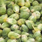 How to Roast Maple and Brown Sugar Brussels Sprouts
