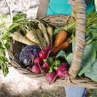Cheap & Easy Country Meals