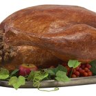 Convection Oven Cooking Tips