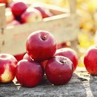 What Are Apple Polyphenols?