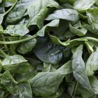 What Foods Convert Into Energy Fast?