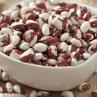The Nutritional Value of Anasazi Beans Compared to Pinto
