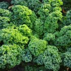 Foods That Contain Zeaxanthin