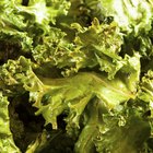 What Are the Benefits From Eating Kale Chips?