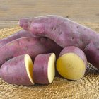 Difference in Sugar Content of Sweet Potatoes and Yams