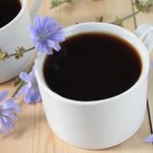 What Is Chicory Root Extract?