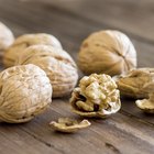 Top Super Foods for Antioxidants
