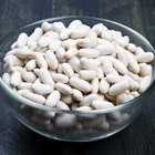 Cannellini Beans for Weight Loss