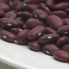 Red Kidney Beans Nutrition
