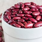Ten Kinds of High-Fiber Beans