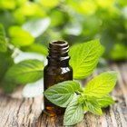 Calories in Peppermint Extract