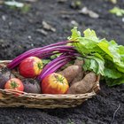 Fruits & Vegetables That Cleanse the Liver
