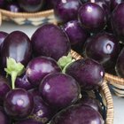 List of Non-Starchy Vegetables