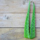 How to Make Homemade Natural Shampoo for Dry Hair