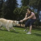 The Best Dog Tug of War Toys That Stick to the Floor – No More Slipping and Sliding!