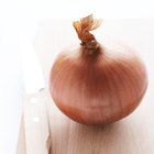 How to Heat an Onion So You Don't Cry
