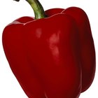How to Freeze Green and Red Bell Peppers