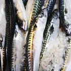 How to Cook Saba Fish