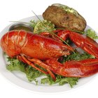 Meals of Lobster Tail