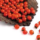 How Do I Properly Freeze a Fresh Tomato for Future Use?