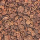 Are Raisins Safe for Toddlers?