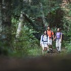 Ultralight Backpacking Meals