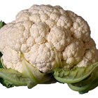 Steamed or Boiled Cauliflower