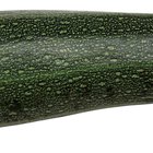 How to Cook Zucchini Like a Japanese Hibachi Restaurant