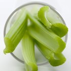 Celery & Cream Cheese for Kids