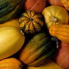 How to Clean Squash