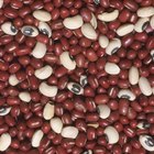 Quick Cooking Methods for Beans