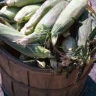 The Best Way to Microwave Corn on the Cob