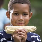 How to Steam Corn on the Cob Without a Steam Basket