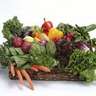 Menu for a Salad Luncheon