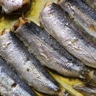 How to Cook Sardines in the Oven