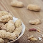 Can Peanut Shells Be Used for Compost?