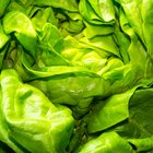 Olive Garden Salad Nutrition Facts