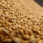 Tips for Cooking Rice in a Crock-Pot