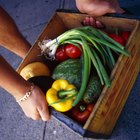 How to Freeze-Dry Things